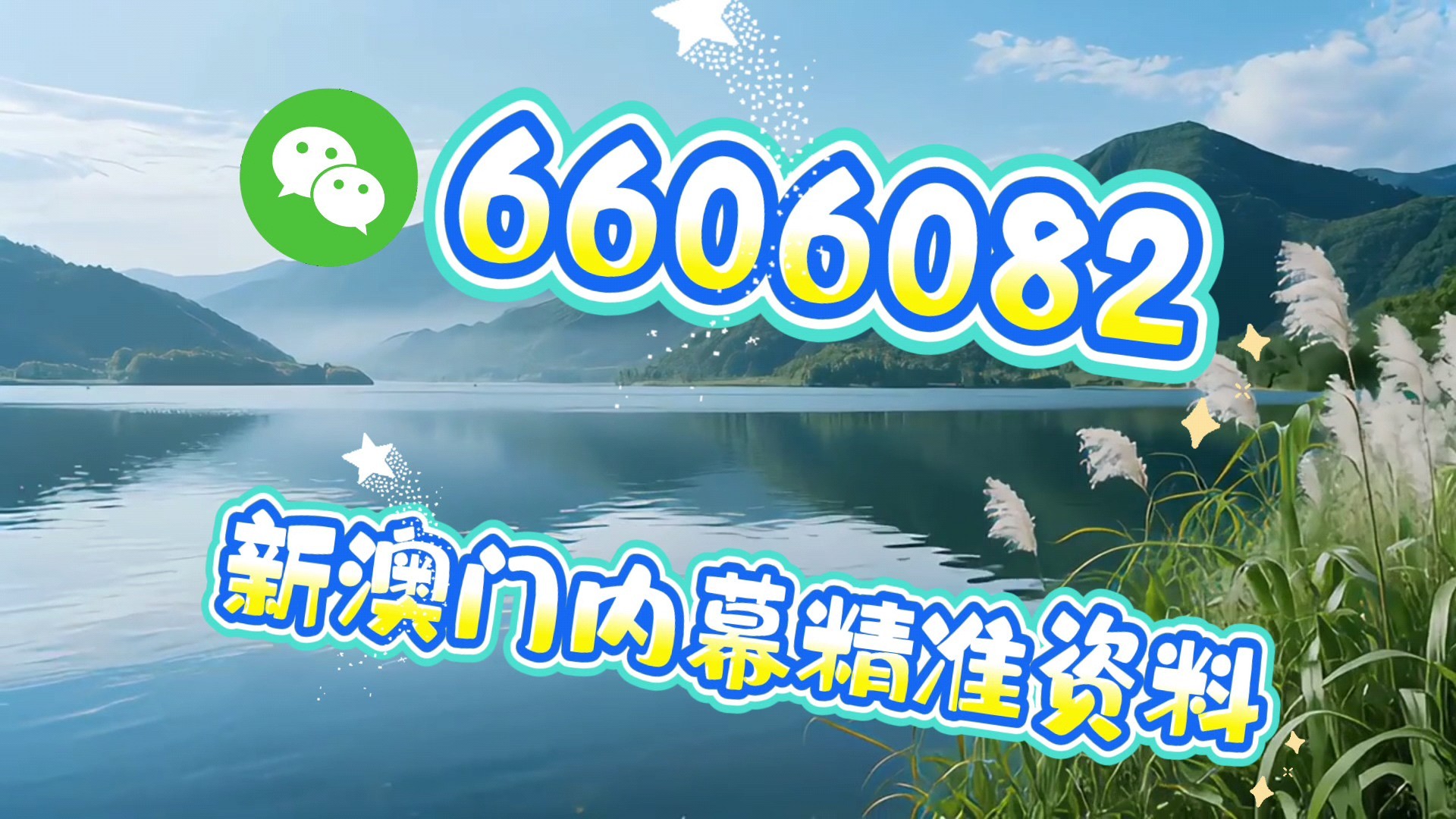 澳門一肖一碼一必中一肖，同舟前進的奧秘與策略，澳門一肖一碼必中策略與前進奧秘，同舟共濟的揭秘與策略
