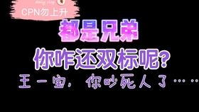 一肖二肖是什么意思——深度解析中國(guó)民俗中的生肖文化，深度解析中國(guó)民俗中的生肖文化，一肖二肖的含義與故事