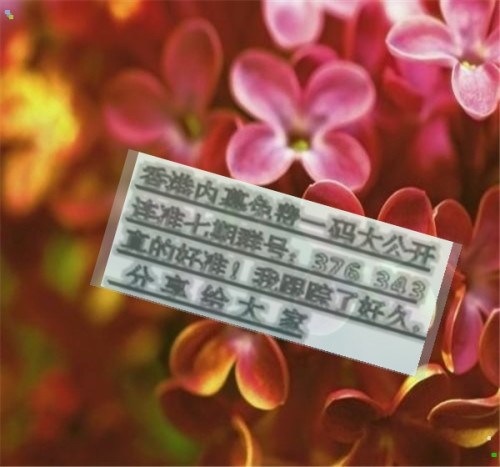 揭秘兩肖必中一肖王中王的秘密策略，揭秘兩肖必中一肖王中王的秘密策略，揭秘生肖彩票的必勝法則！