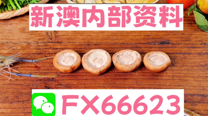 新澳正版資料免費(fèi)提供，全面解析與深度探索，新澳正版資料全面解析與深度探索，免費(fèi)提供的指南