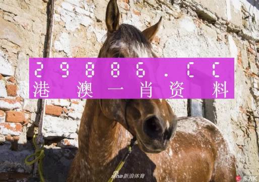 王中王內(nèi)部一肖中特，揭秘背后的秘密故事與獨(dú)特之處，揭秘王中王內(nèi)部一肖中特的獨(dú)特秘密與故事