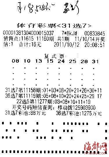 平特一肖王中王論云，探索SEO優(yōu)化與關鍵詞戰(zhàn)略，探索SEO優(yōu)化與關鍵詞戰(zhàn)略布局，平特一肖王中王論云