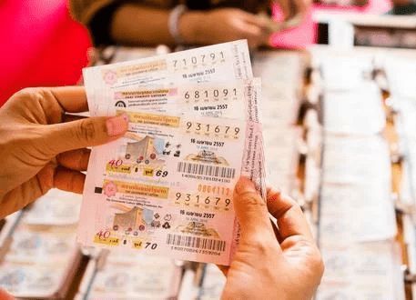 香港平特一肖王中王高手的秘密策略與技巧探索，香港平特高手探索，一肖王中王策略與技巧揭秘