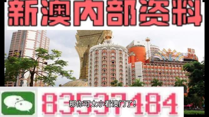 澳門內(nèi)部資料精準(zhǔn)大全2023，深度探索與最新資訊整合，澳門內(nèi)部資料深度探索與最新資訊整合 2023