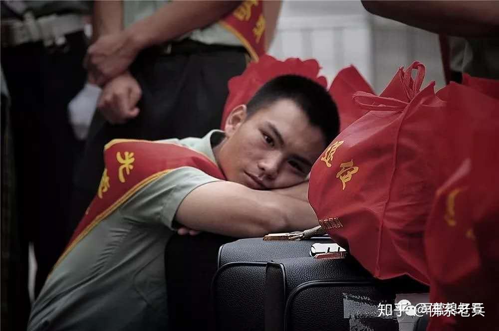 SEO洞察探究
