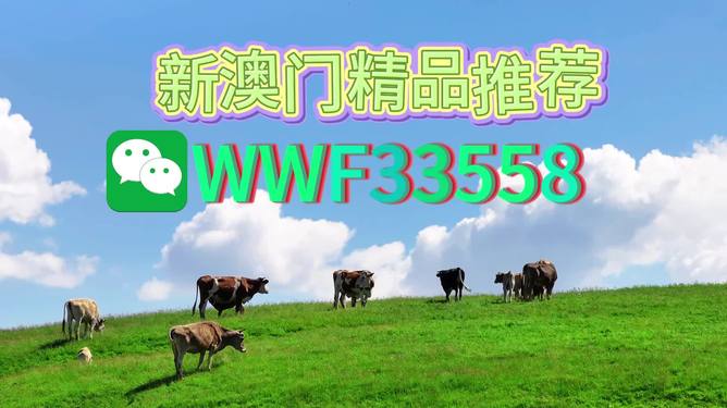 新澳今晚9點30分準確生肖預(yù)測——揭秘生肖運勢，把握未來走向，新澳今晚9點30分生肖運勢大揭秘，預(yù)測未來走向，把握好運勢！
