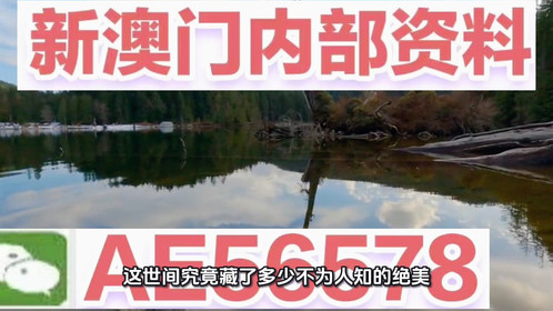 2025新澳門精準(zhǔn)免費(fèi)大全——全面解析澳門未來發(fā)展趨勢與機(jī)遇，澳門未來發(fā)展趨勢與機(jī)遇全面解析，新澳門精準(zhǔn)免費(fèi)大全展望