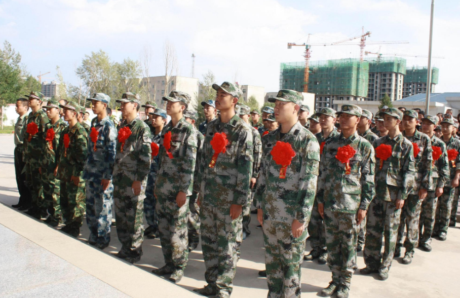 大學(xué)生當(dāng)兵條件全面解析，大學(xué)生當(dāng)兵條件的全面解析