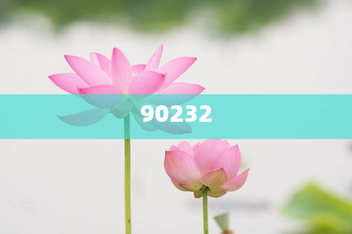揭秘2025新澳天天開好彩大全第78期精彩瞬間，掌握彩票秘籍！，揭秘第78期新澳天天開好彩精彩瞬間，彩票秘籍大揭秘！