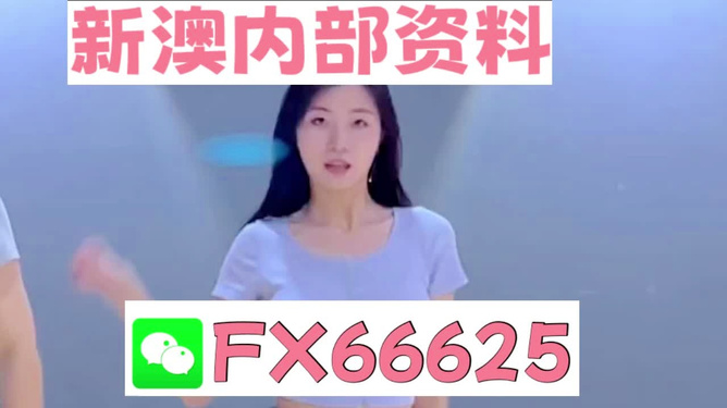 新澳門精準(zhǔn)資料大全——管家婆料解析與探索，澳門精準(zhǔn)資料大全，管家婆料解析與深度探索