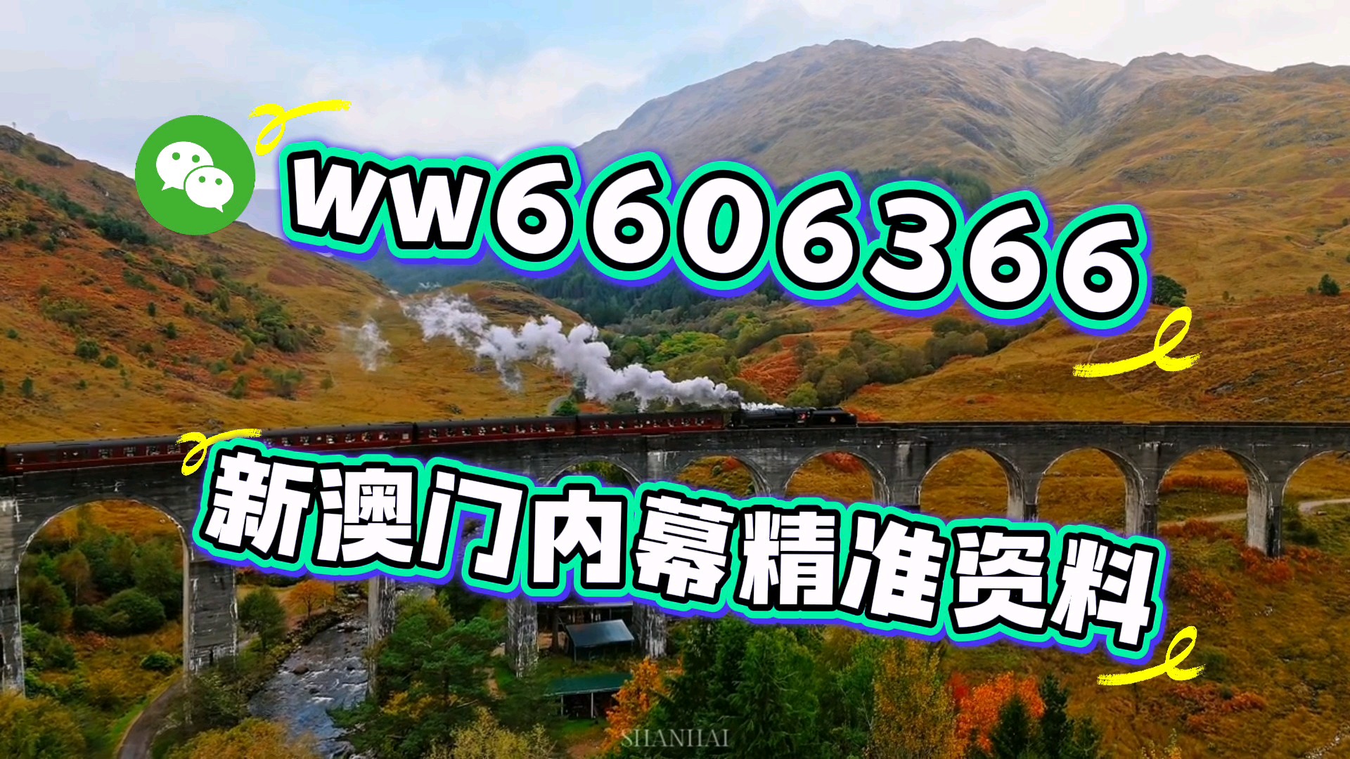 澳門一肖一碼期期準(zhǔn)必開一肖，揭秘彩票背后的秘密與策略，揭秘澳門彩票背后的秘密策略與期期必開一肖的真相