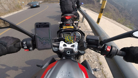 王中王310期指一生肖——揭秘生肖運勢與人生軌跡，揭秘生肖運勢與人生軌跡，王中王310期指一生肖探討返回頂部