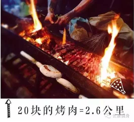 王中王313期指一生肖——揭秘生肖運勢與人生軌跡的獨特聯(lián)系，揭秘生肖運勢與人生軌跡的獨特聯(lián)系，王中王313期指一生肖詳解