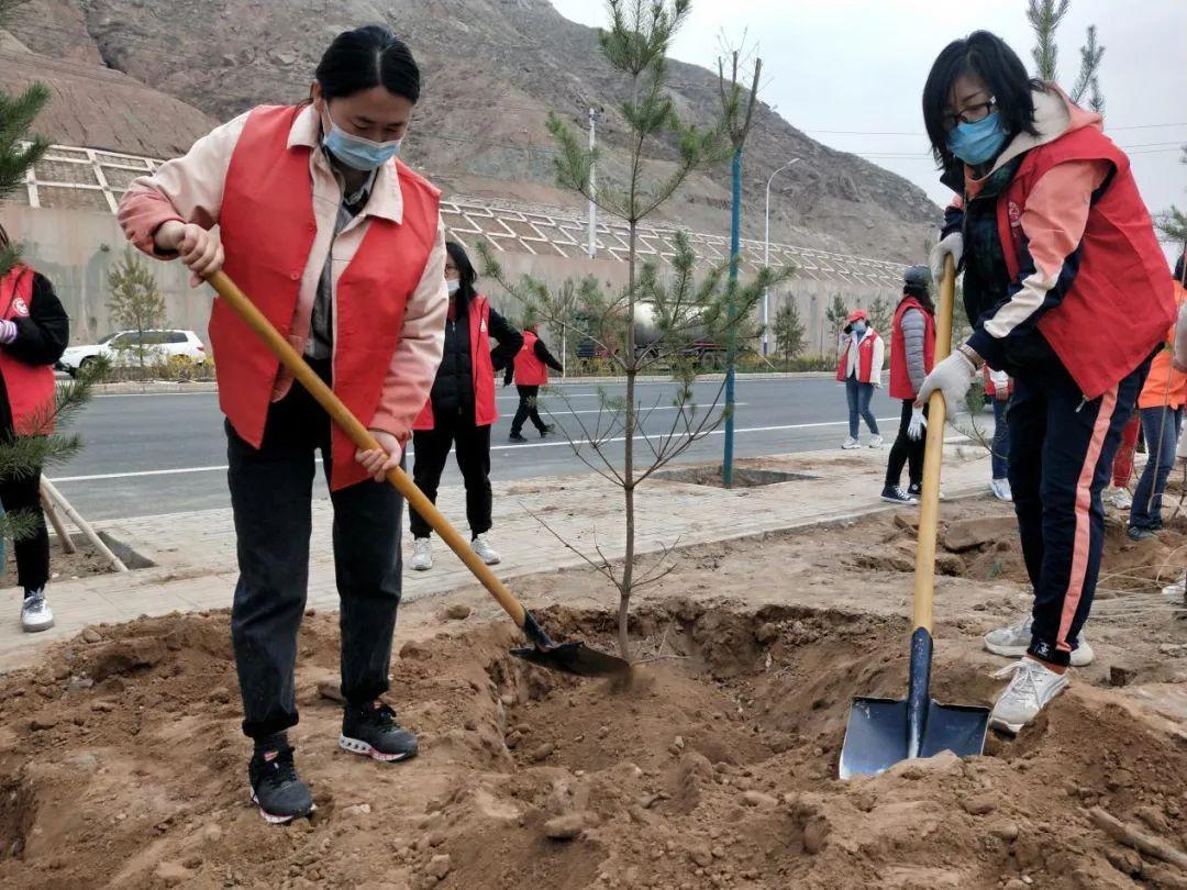 天下彩天天空彩資料免費(fèi)大全管家，探索與解析，天下彩天天空彩資料大全管家，深度探索與解析