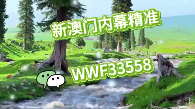 揭秘今晚9點30澳門生肖運勢，掌握好運之門，揭秘澳門生肖運勢，今晚9點30的好運之門開啟！