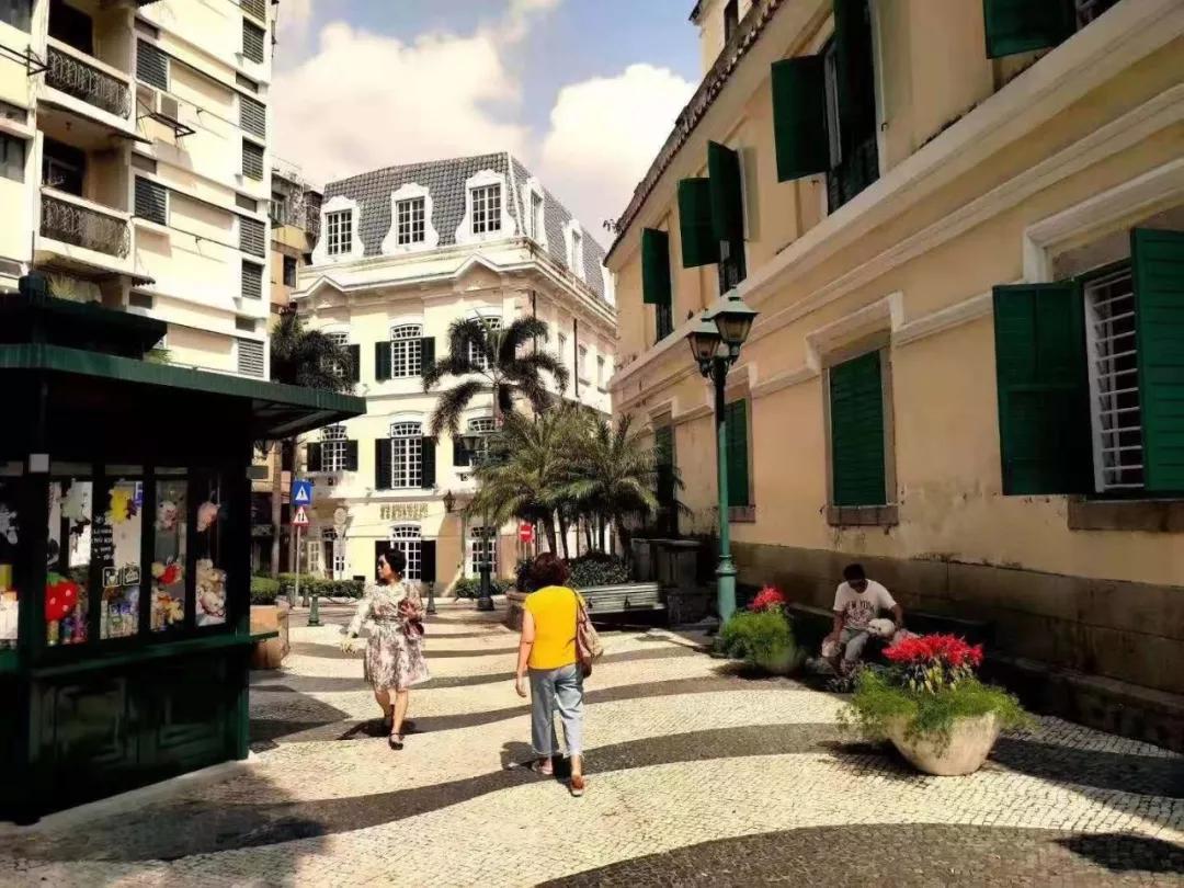 澳門二肖，探索與揭秘，澳門二肖，探索之旅與神秘揭秘