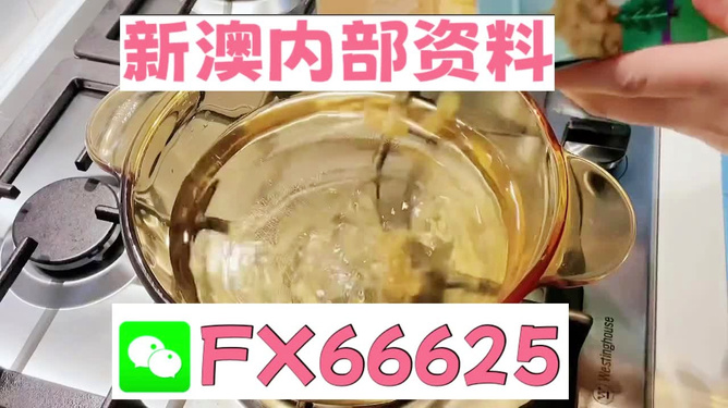 新澳一碼料，深度解析與SEO優(yōu)化策略，新澳一碼料深度解析與SEO優(yōu)化策略指南