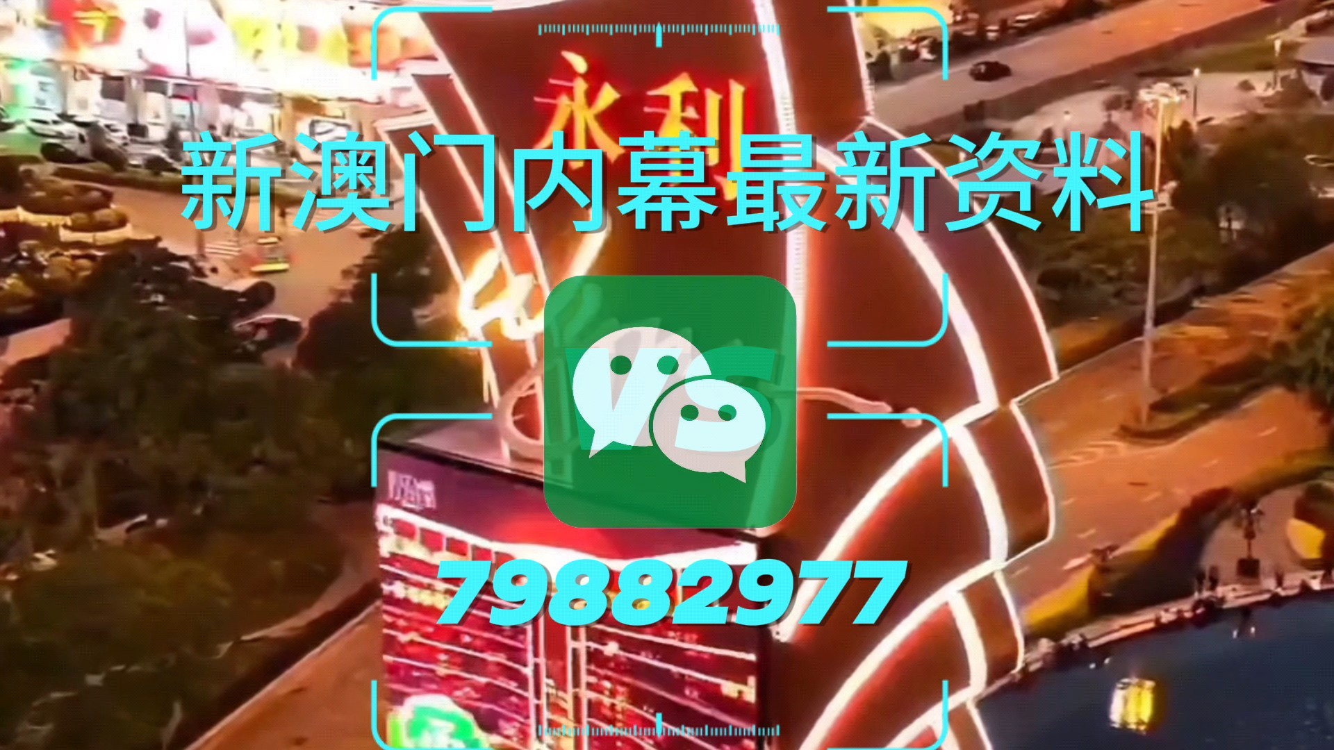 新澳門一肖一特一中，探索與解析，新澳門一肖一特一中，深度探索與解析