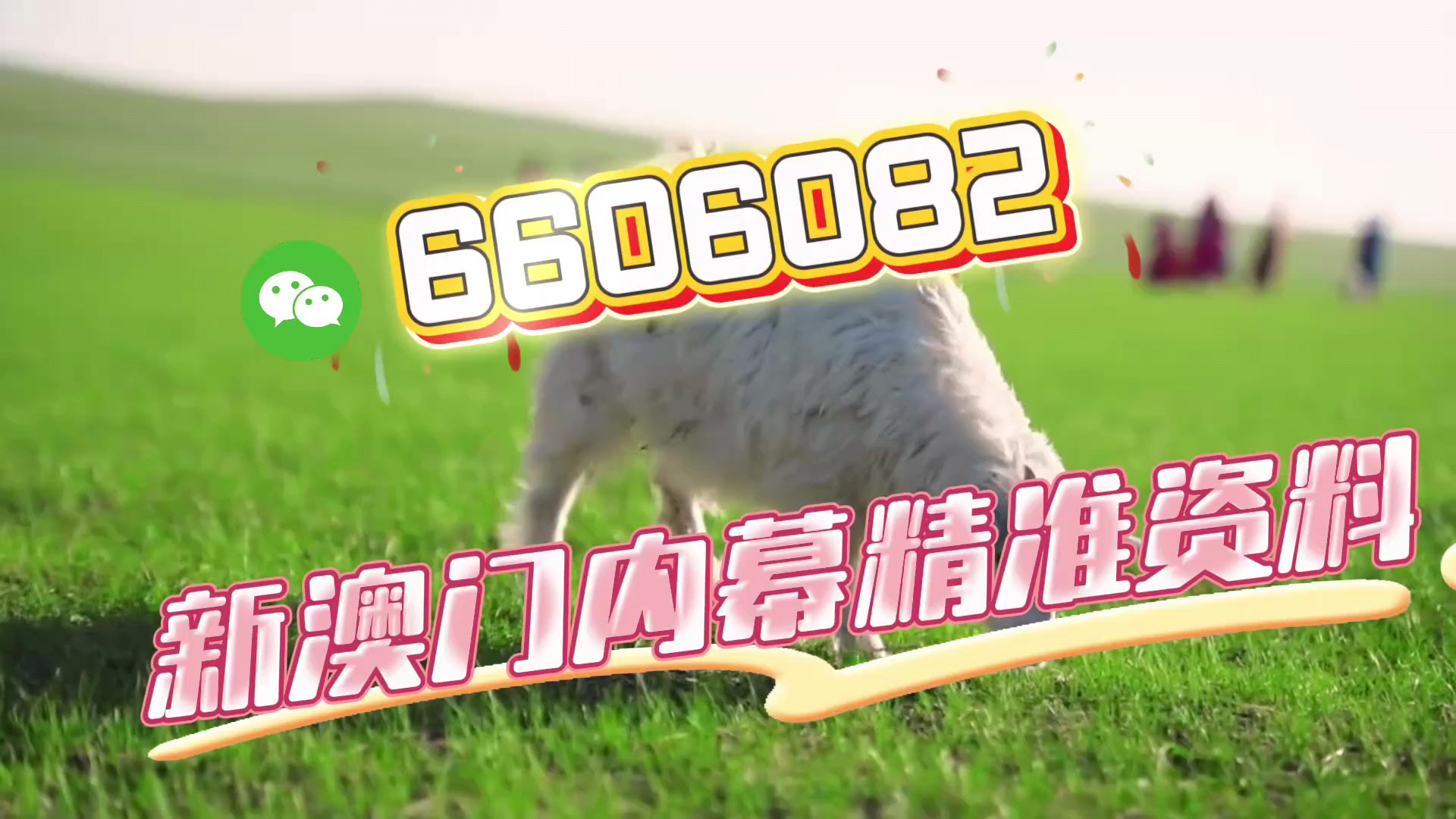 新澳門期期準(zhǔn)免費(fèi)期期準(zhǔn)，探索真實(shí)性與背后的秘密，澳門彩票背后的真實(shí)性與秘密探索