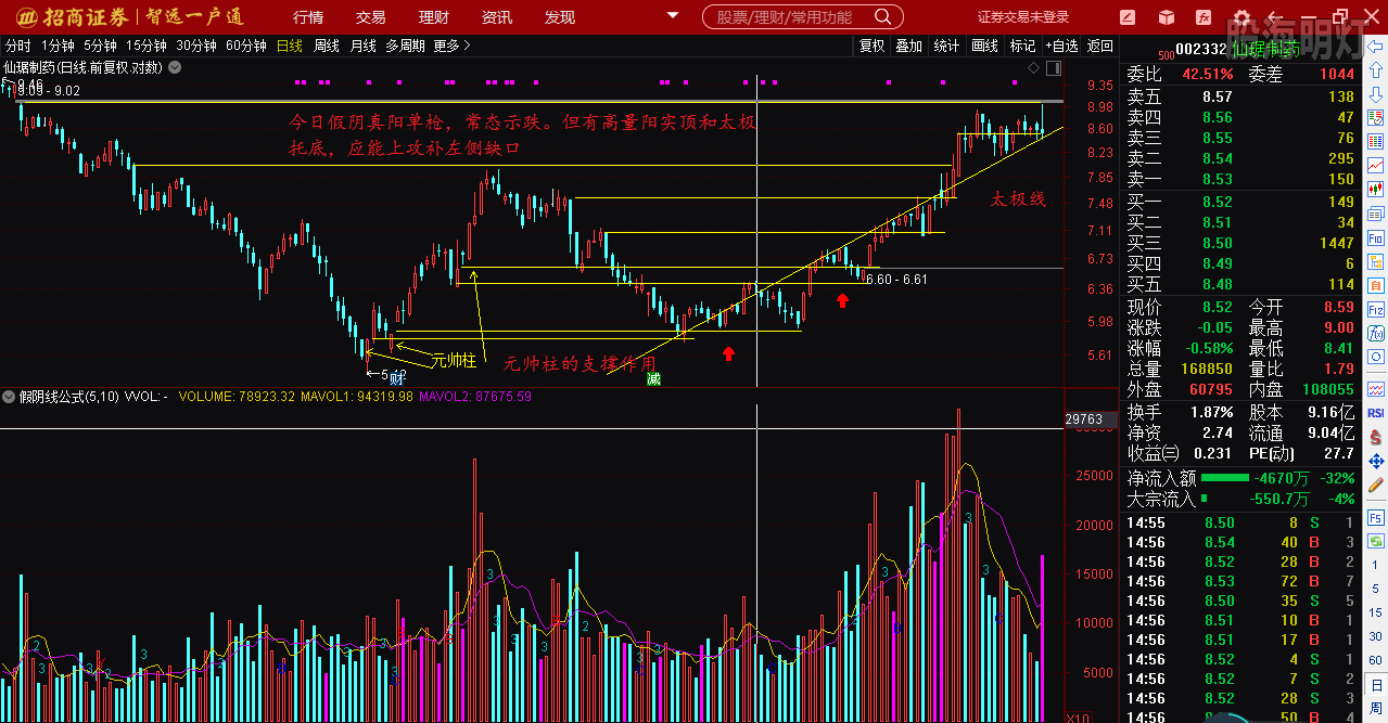 仙琚制藥股票（代碼，002332）深度解析，仙琚制藥股票深度解析（代碼，002332）
