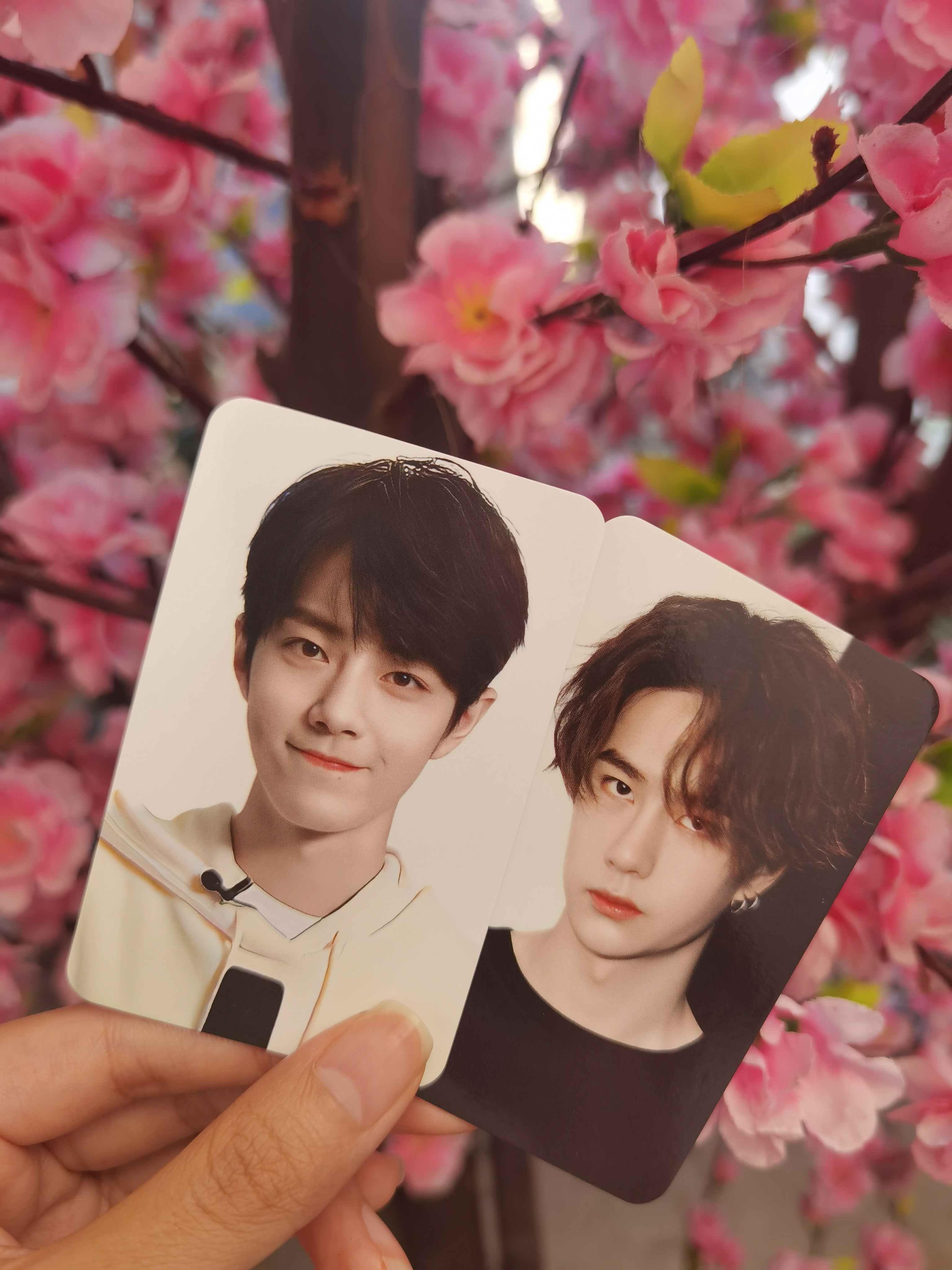 王中王一肖中特一肖精準(zhǔn)預(yù)測(cè)——揭秘生肖運(yùn)勢(shì)的秘密，揭秘生肖運(yùn)勢(shì)，王中王一肖精準(zhǔn)預(yù)測(cè)特選生肖運(yùn)勢(shì)秘密