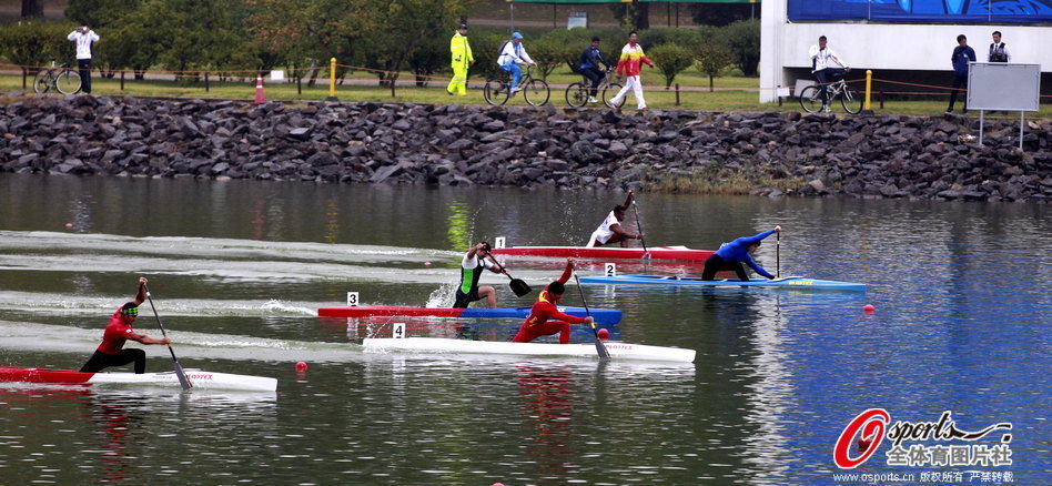 王中王一肖一馬期期中特，深度解析與SEO優(yōu)化策略，王中王一肖一馬期期中特深度解析與SEO優(yōu)化策略指南