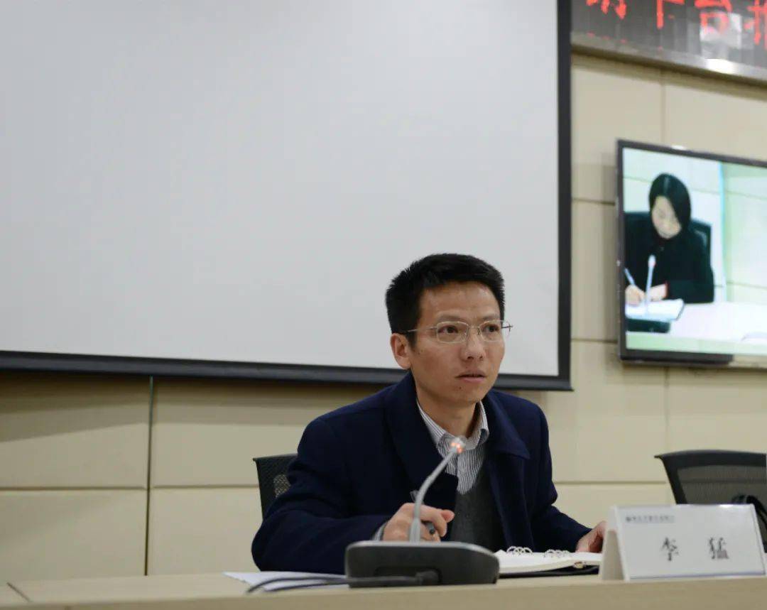 正版王中王一肖平碼圖——深度解析與探索，正版王中王一肖平碼圖深度探索與解析