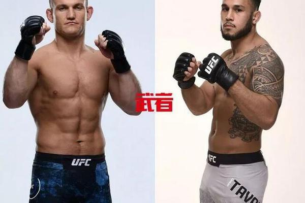 澳門(mén)六開(kāi)獎(jiǎng)結(jié)果記錄圖，探索彩票背后的秘密，澳門(mén)六開(kāi)獎(jiǎng)結(jié)果記錄圖揭秘彩票背后的秘密