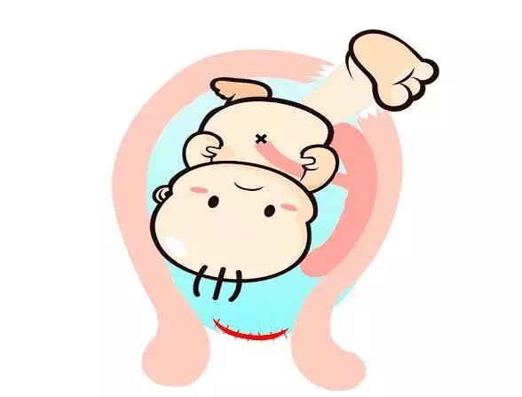 孕囊算不算一條生命，深度解析胚胎早期發(fā)育的奧秘，孕囊與胚胎早期發(fā)育，深度解析一條生命的誕生奧秘