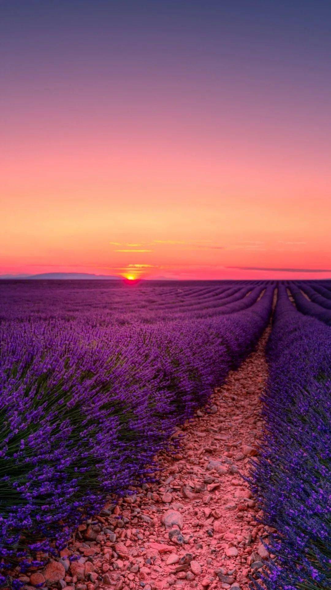 揭秘劉伯溫一肖六碼中特之謎，探尋背后的故事與真相，劉伯溫一肖六碼中特背后的故事與真相揭秘