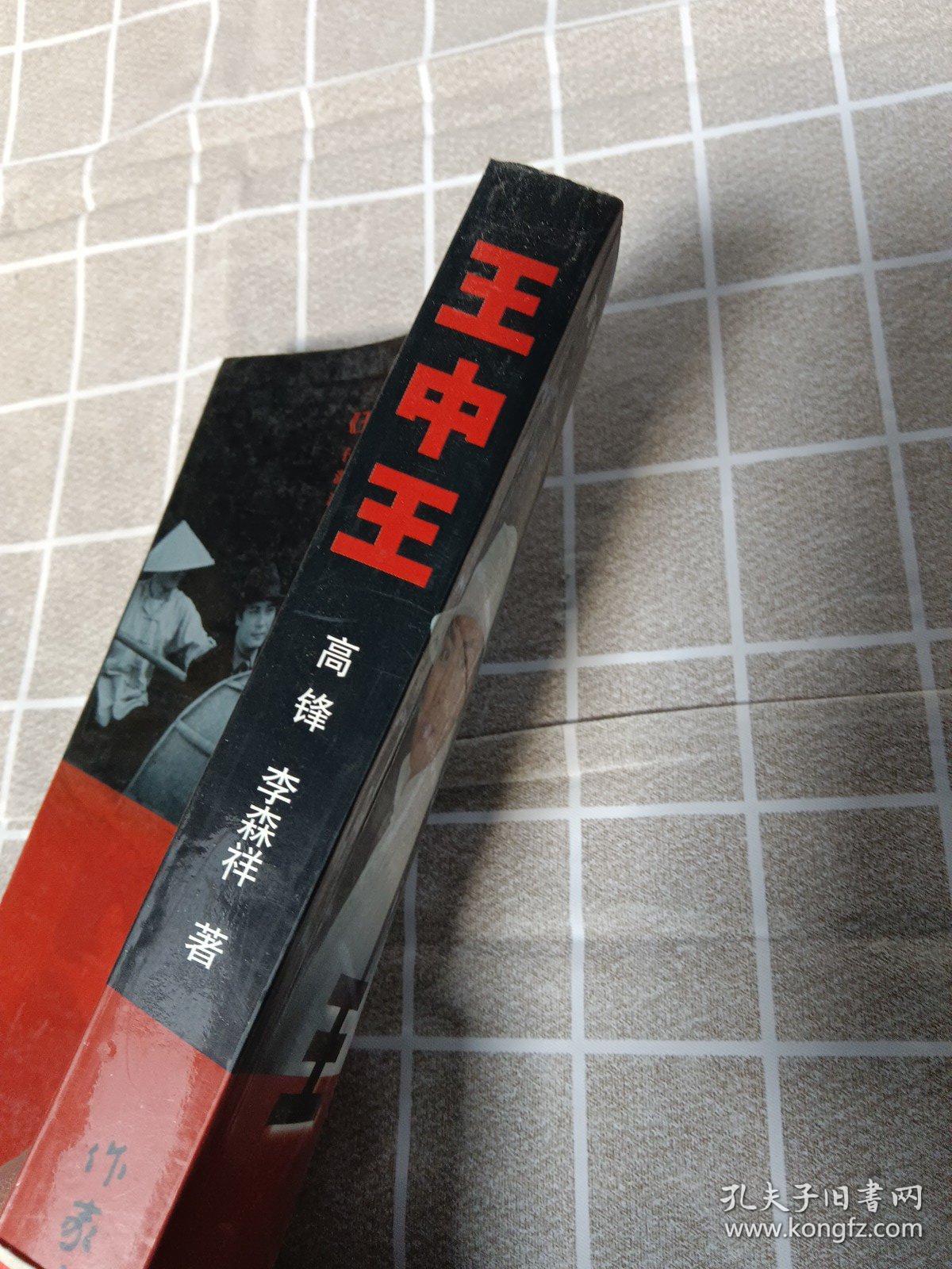 王中王資料一肖中官家，深度解析與探索，王中王資料揭秘，一肖中官家的深度解析與探索