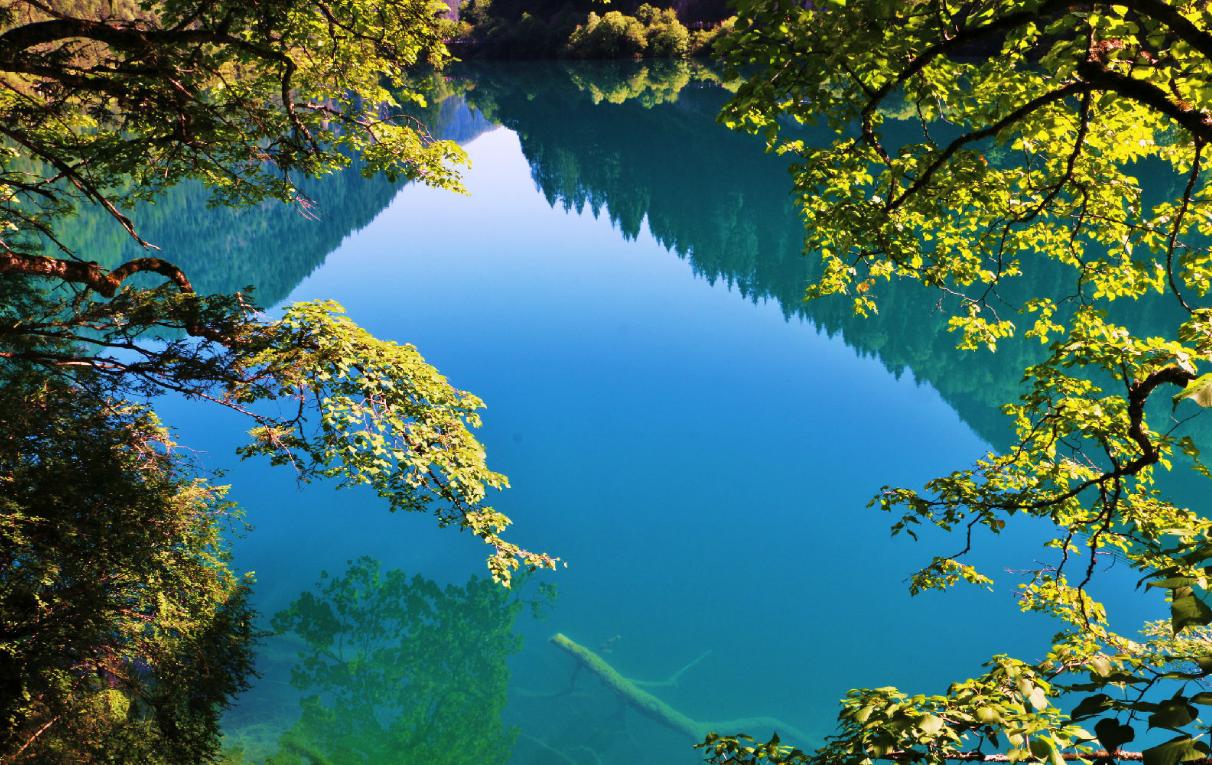 成都九寨溝三日游攻略，絕美風(fēng)光，一網(wǎng)打盡！，成都九寨溝三日游，絕美風(fēng)光，盡攬眼底！