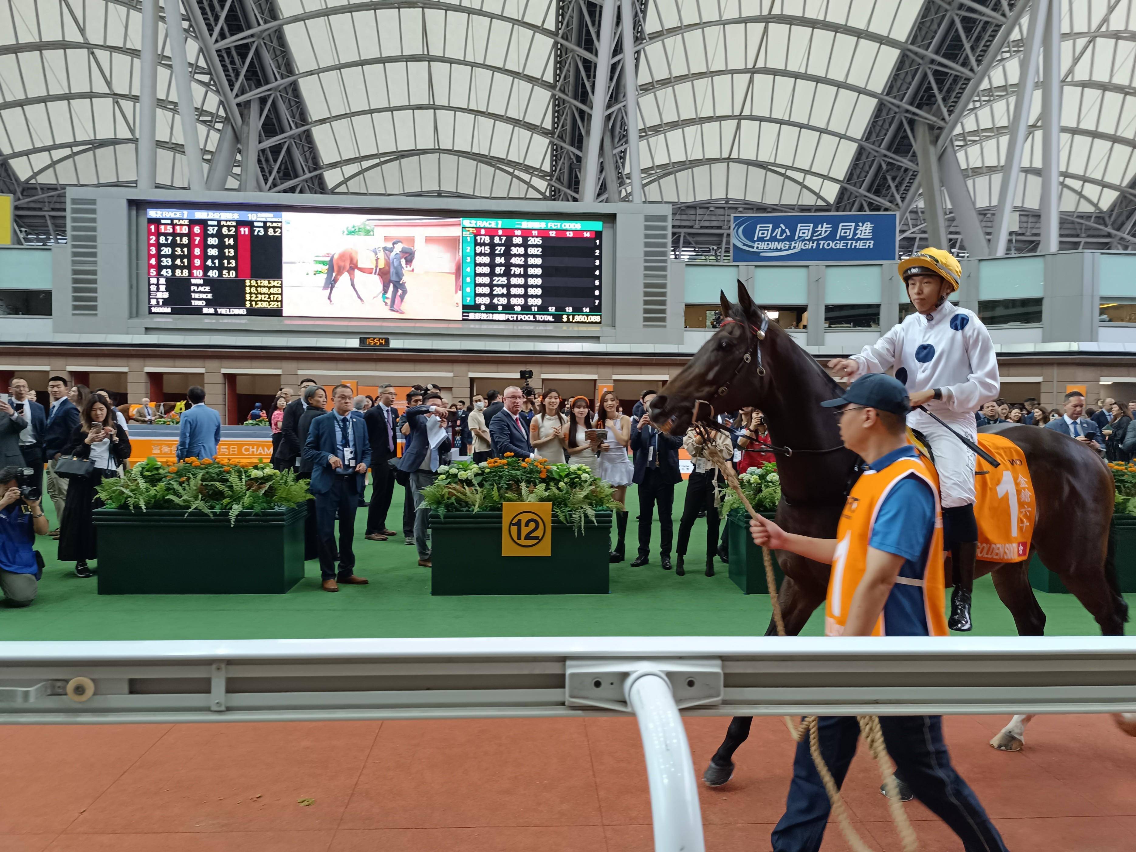 香港王中王一肖中特馬的奧秘與探索，香港王中王一肖中特馬的奧秘探索之旅
